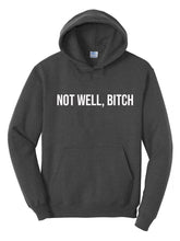 Load image into Gallery viewer, Not Well - RHONY Unisex Hoodie
