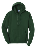 Load image into Gallery viewer, Go Birds - Unisex Hoodie
